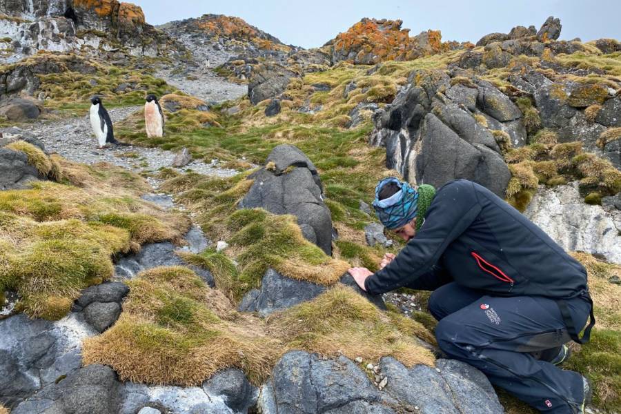 Investigadores UFRO realizan expedición a la Base Polaca Henryk Arctowski para estudiar el suelo antártico