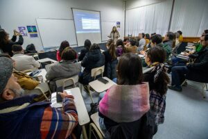 16 proyectos fueron seleccionados en versión 2024 del Fondo de Desarrollo e Innovación Docente UFRO