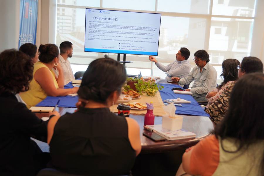 UFRO inicia asistencia técnica para propuesta de Plan Estratégico de Fondo de Desarrollo Indígena de CONADI